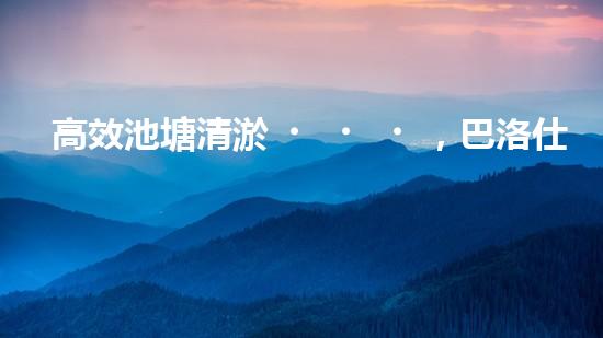 高效池塘清淤，巴洛仕設(shè)備助您一臂之力